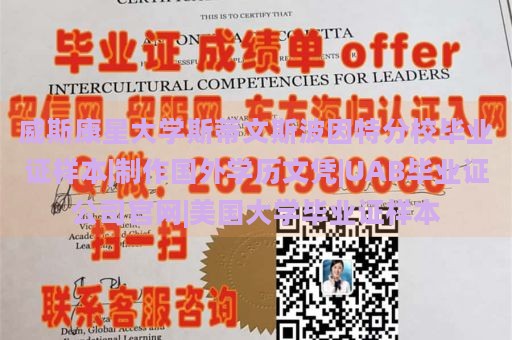 威斯康星大学斯蒂文斯波因特分校毕业证样本|制作国外学历文凭|UAB毕业证公司官网|美国大学毕业证样本