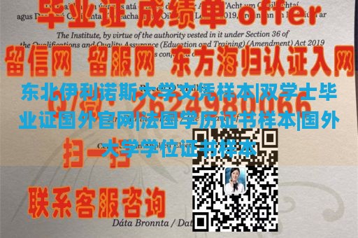 东北伊利诺斯大学文凭样本|双学士毕业证国外官网|法国学历证书样本|国外大学学位证书样本