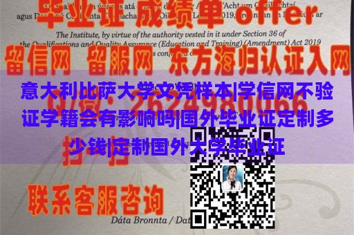 意大利比萨大学文凭样本|学信网不验证学籍会有影响吗|国外毕业证定制多少钱|定制国外大学毕业证