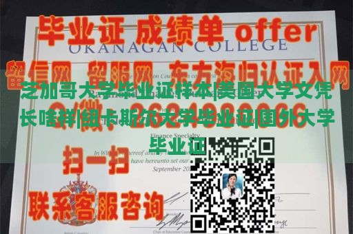 芝加哥大学毕业证样本|美国大学文凭长啥样|纽卡斯尔大学毕业证|国外大学毕业证